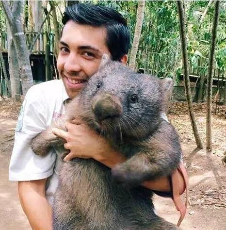 过气网红大脚怪,从网红巅峰到过气传奇的跌宕人生